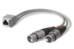 Toon details voor Angry Audio RJ45 Female naar twee XLR3 Female 20cm adapter Afbeelding van Angry Audio RJ45 Female naar twee XLR3 Female 20cm adapter