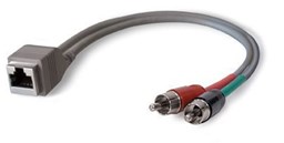 Show details for Angry Audio RJ45 Female to Dual RCA Male 8" adapter Picture of Angry Audio RJ45 Female to Dual RCA Male 8" adapter