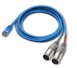 Picture of Angry Audio RJ45 Male to Dual XLR Male 6' adapter cable