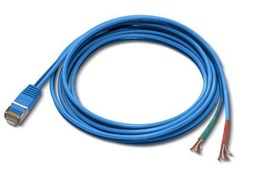 Picture of Angry Audio RJ45 Male to Dual Unterminated 6' adapter cable