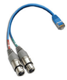Toon details voor Angry Audio RJ45 male naar twee XLR3 Female 15cm adapter Afbeelding van Angry Audio RJ45 male naar twee XLR3 Female 15cm adapter