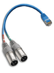 Toon details voor Angry Audio RJ45 male naar twee XLR3 male 15cm adapter Afbeelding van Angry Audio RJ45 male naar twee XLR3 male 15cm adapter