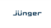 Afbeelding van Jünger Audio tieLight portal PCIe