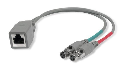 StudioHub RJ45 Female naar twee Mini-XLR3 Female 20cm adapter