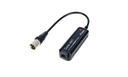 Audinate Dante AVIO Output 0x1